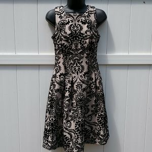 NWOT Gabby Skye Velvet Flare Dress 4